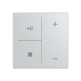 ESP RF GDT-6 module