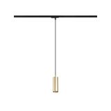 MAVRO for 1-circuit tracks pendant gold 230V LED 12W 38° 3000K