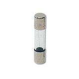5x20T std 2A 250V fuse