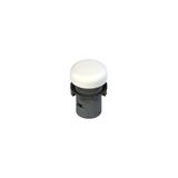 Illuminated monolithic indicator
