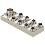 with M23 outlet, 19-pole, M12, 50 V, A-coded, LED: No, LED initiator: No, Wiring type: