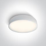 62150D/W/V WHITE PLAFO LED 50W CCTV IP20 230V