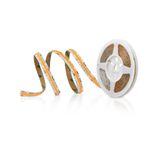 Fortimo LEDFlex C 5m 1000lm/m 927 C5 G1