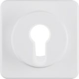 Cover frame for key switch/push button IP44 flush mounting, polar white