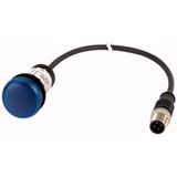 C22-L-B-24-P5 Indicator light, Flat, Cable (black) with M12A plug, 4 pole, 1 m, Lens Blue, LED Blue, 24 V AC/DC