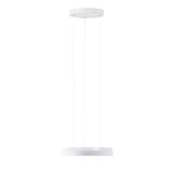 LED-1L17C07ZLE11/425/L100 B 4000