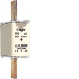 NH fuse NH2 gG 690V 224A with twin indicator and live gripping lug