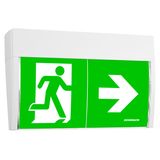 Emergency light PX EL HP-LED 230V, ceiling mounted