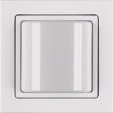 Light signal frame, Q.3, p. white velvety