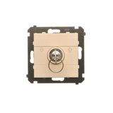 Roller blind momentary switch with key, champagne matt