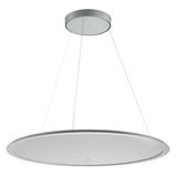 SL713 RL PL 41 S/C 830 GR9006 DALI MP