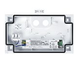 PURESIGN 150 P MSW ECC WH - Escape sign luminaire