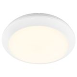 LEILA LED 300 20W 3000/4000K 2000lm 230V IP65 white