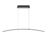 Modern Light Reflection Pendant lamp Black
