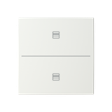 ESP RDUD1R/208 module