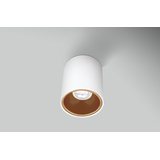 PLAFONIERA LED ESSENZA ROUND BIANCA/GOL