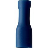 Fichero: Ter ench planos tot ais azul.jpg