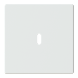6479-884-500 Cover plate for USB C power adapter