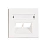 Cover for RJ45 UAE outlet, labelling window, 2-Port, white