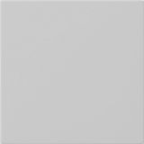 rocker 1-g blank System 55 grey m