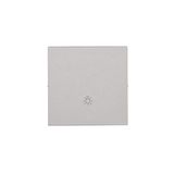 Single button for switches and push buttons, matt aluminum