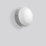 Alu-Superior, silver, on/off Ceiling and wall luminaires, D 245 H 120,