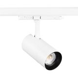 PIXO ZOOM 2200LM 3CCT ON-BOARD DIM WHITE