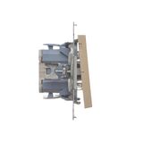 Double switch with LED indicator light, (module), Simon 24, IP20/IP44, 10AX, white
