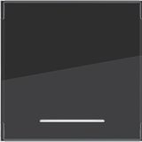 Rocker single, large text field, clear lens, A.x/C.x, night black glass.