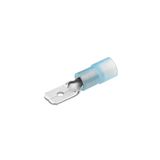 Insulated plug terminal 6.3 mm, blue, 1.5–2.5 mm²