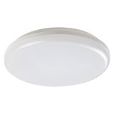 ERIC LED 24W IP64 4000K 7979