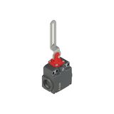 Safety switch with slotted hole lever