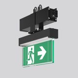 LINEDO, black, on/off Continuous line luminaire, L 336 B 62 H 308, CBS