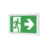 TYLIUS LED B 102 M1h luminaire for emergency and orientation lighting with LE module