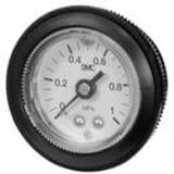 G(A)46, Pressure Gauge, w/Limit Indicator & Cover Ring Assy (O.D. 42)