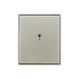 Rocker, 1gang, with “Light” icon