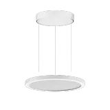 FL R+ 333 PL 8/23 S/A 830 WH9016 DALI MP