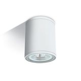 WHITE CYLINDER PAR30 E27 20W IP54