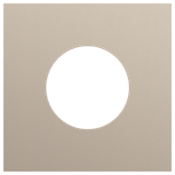 Onefold faceplate, for 1 socket outlet, Niko Rocker and Niko Toggle, steel champagne coated