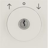 Central panel with lock for louvered lock switch Color: white, with S.1 Berker gloss