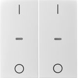 Cover I/O for 2gang for push-b. module, clearlenses, S.1/B.3/B.7, whit