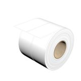 THM, Device markers, 38 x , white