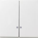 rocker 2-g ctrl.win. Gira F100 p.white