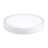 LED lamp Vanda R30, 30W, 3000K
