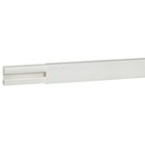 Molding with partition - section 20x12.5
