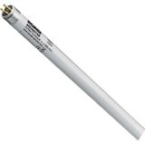 Sylvania Aquastar F28W T5L8/AQUASTAR 590MM RETAIL - 0002822