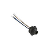 M12 plastic male wired connector, 5 poles, for PG 13,5 threads