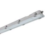PERUN SLIM 1.4ft 6400/840 DALI 1F IP65