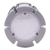 LED Corn Warm E40 100V-260V 54W 2700K