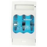 HRC-busbar-fuse-disconnector 160 A,3-pole, screw M8 (The price is shown without markup on metals. Request a quote for accurate information)